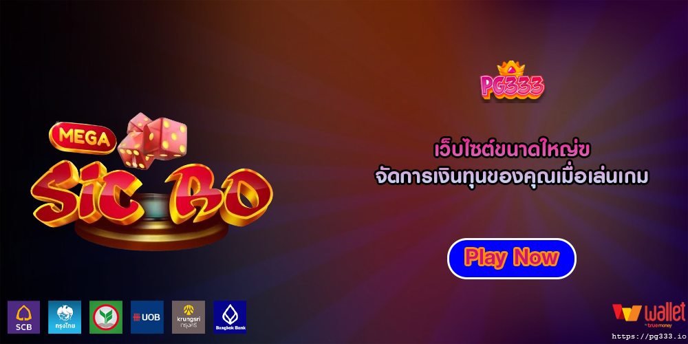 เว็บไซต์ขนาดใหญ่ จัดการเงินทุนของคุณเมื่อเล่นเกม